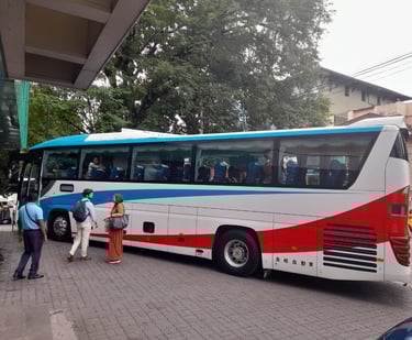 Visitors are getting ready to get into a Luxury bus for their explorations.
