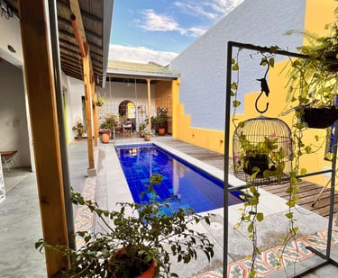 Modern courtyard with a narrow blue lap pool, potted plants, and colorful walls under a blue sky.