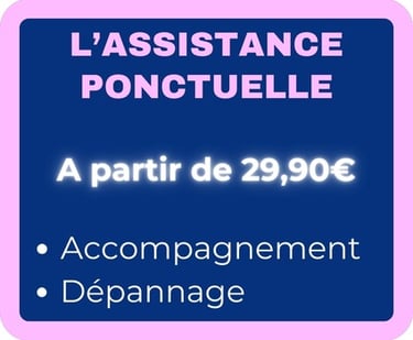 Assistance informatique à partir de 29.90€