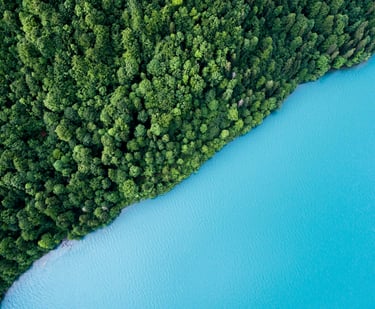 water near a forest