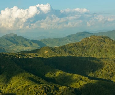 Khawnglung Wildlife Sanctury