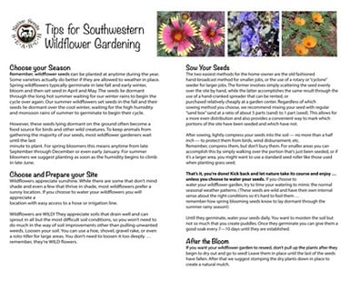 A guide for Southwestern wildflower gardening tips featuring photos of vibrant desert flowers and planting instructions.