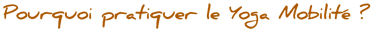 Pourquoi pratiquer le yoga Mobilité ?