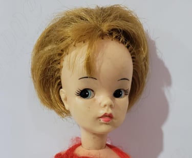 Susi - Estrela/Ideal