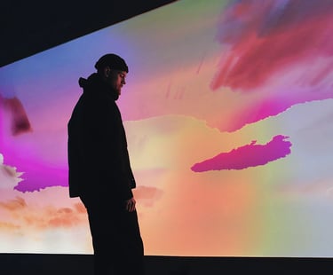 digital art, video installation,  joanna wlaszyn