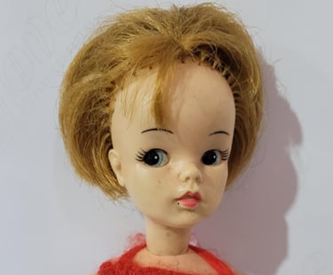 Susi - Estrela/Ideal