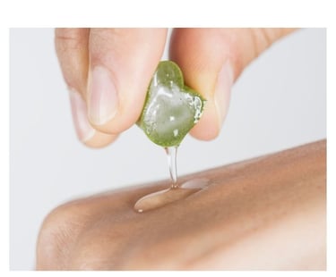 La salud nace en tu mente la naturaleza la manifiesta