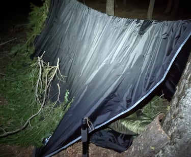 My overnighter in the woods