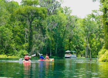 People enjoy kayaking in the Silver Springs.