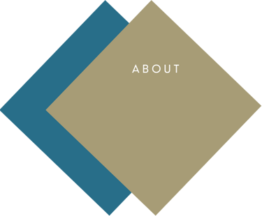 page header icon of 2 layered colored rhombi housing title "about"