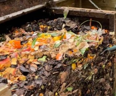 intérieur bac d'apport du composteur plein