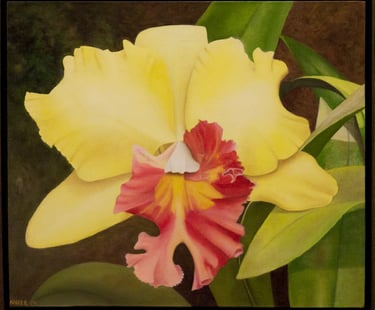 Yellow Cattleya with Fuchsia 
