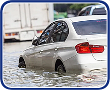 Segunda Via de Placa