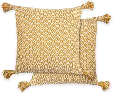 a pair of pillows with tassels and tassels