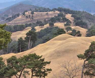 Jisandong tombs in Goryeong