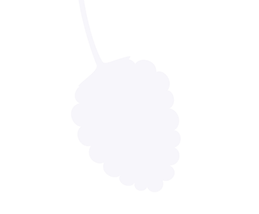 Fehér minimalista málna ikon sziluett levéllel fehér háttérrel.