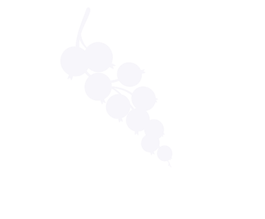 Minimalista fehér sziluett illusztráció egy piros ribizli ágacskáról átlátszó háttér előtt.