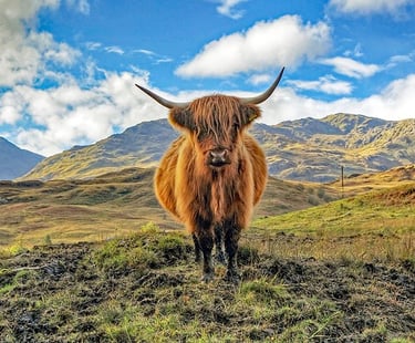 a cowgirl standing in a field with mountains in the background