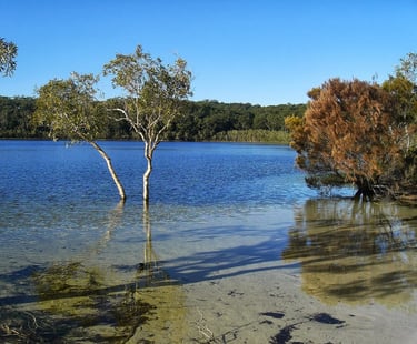 Fraser Island