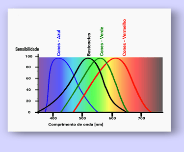 Curvas de Sensibilidade do 3 tipos de Cones e dos Bastonetes, em relação ao Espectro.