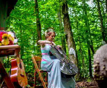 cellist, photo by Vanessa Wheeler of All Occasions Photo