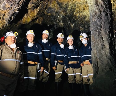 Medicina del trabajo 45 Mina