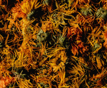 dried chamomile flowers