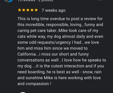 Review by Claire Gourdain