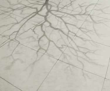 This is a graphite drawing representing winter tree shadows on a sidewalk