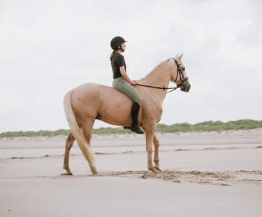 couple cavalier cheval plage