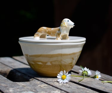 Ceramic Salt Cellar lid dachshund, Pottery sugar bowl Wiener, Dachshund Kitchen Gift, Mother's day, 