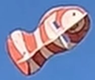 Dave S Nemo (again)