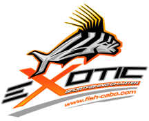 exotic fish cabo logo