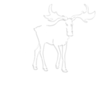 The Logo of Charging Moose Media which features a plugged in Moose