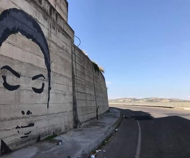 Stylized female face painted on concrete wall, urban artwork by Poliops.