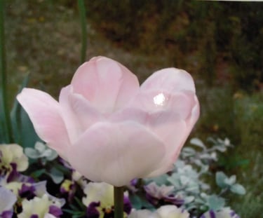 G. Emotion of Jealousy is healed.