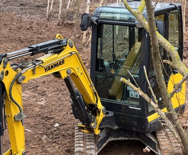 senu sklypo valymas, krumu valymas, sklypo valymas