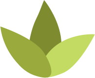 Kilbirnie Beauty Collective logo