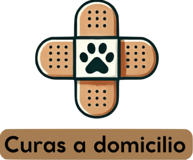 Tratamientos y curas veterinarias a domicilio para mascotas en Alicante y alrededores