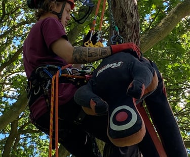 Tree Pole rescue