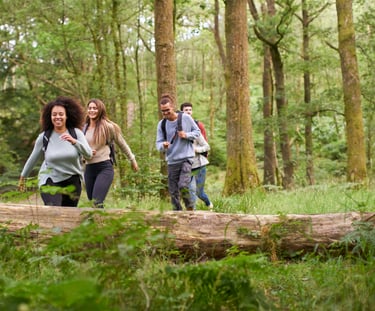 a team hiking in the forest with Awe Academy