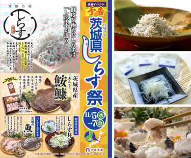 茨城県しらす祭の告知ポスター。常陸乃国しらす、茨城県産アンコウ、しらす丼、茨城県産魚の写真が掲載されている｜堺市のグルメ情報ならサカイタイムズ