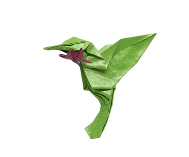 Calliope hummingbird_Cekouat León Origami