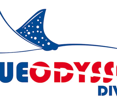 Blue Odyssey Diving