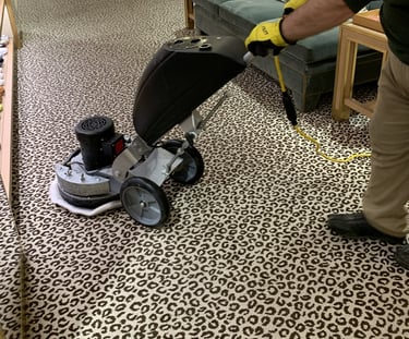 carpet cleaning deep cleaning