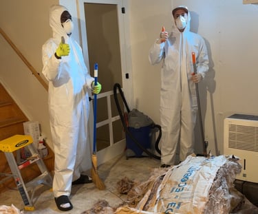 Professional attic rodent cleanup service in Hadley MA