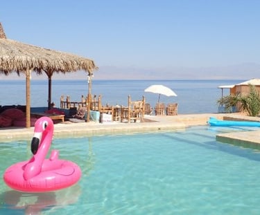 en rosa flamingo som flyter i en pool på stranden