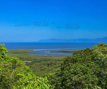 View from Daintree National Park, 2009