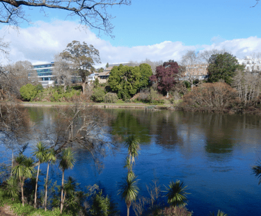 Waikato River in Hamilton Central from Parana Park