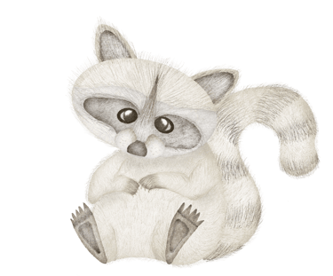 Raccoon illustration for paper stationery and wall art.